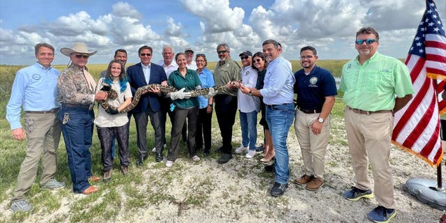 Florida Fish &amp; Wildlife Conservation officials, Florida Gov. Ron DeSantis and others hold a Burmese python at the 2022 Florida Python Challenge.
