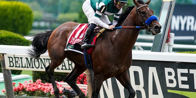 Undefeated Flightline and Rich Strike, upset winner of the Kentucky Derby, head a field of nine for the Breeders' Cup Classic.