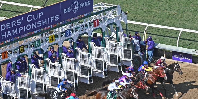 Horses break from the starting gate for the Breeders' Cup Dirt Mile Nov. 6, 2021, at the Breeder's Cup World Championships in Del Mar, Calif. 