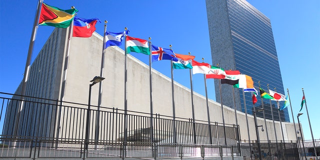 The United Nations Headquarters in New York City.