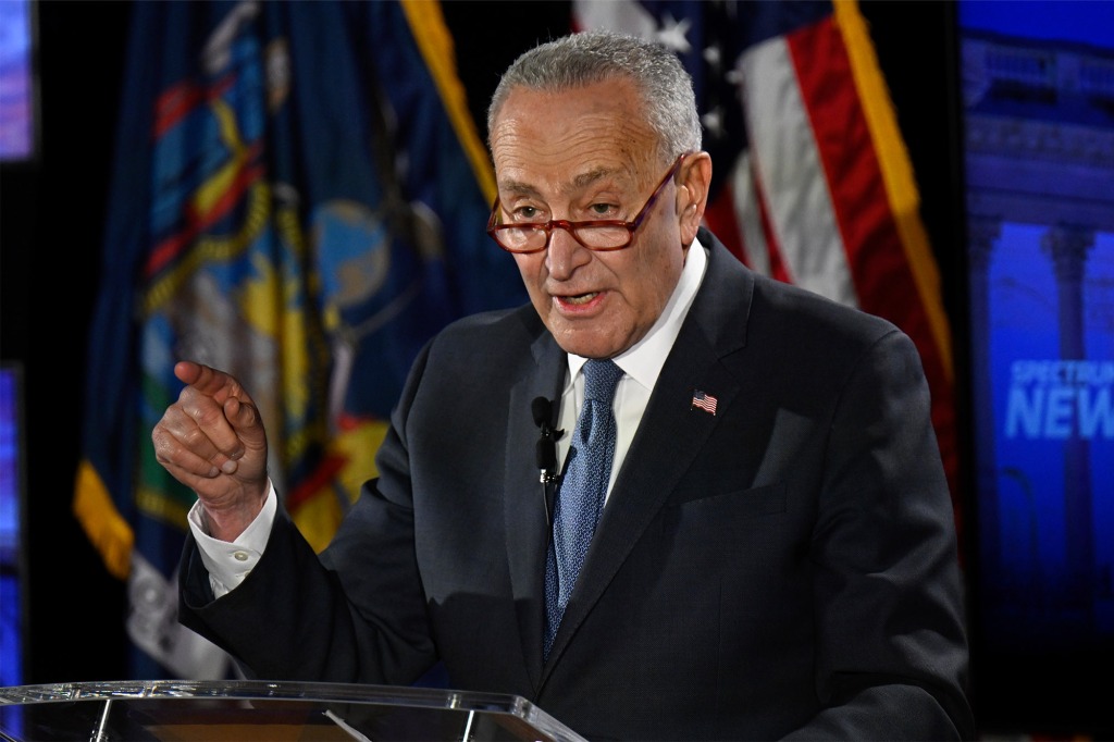 Schumer accused Pinion of not having any "real solutions" to issues.