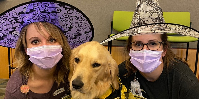 A Spirit Halloween store employee and a general manager share some Halloween fun with a dog dressed in costume.