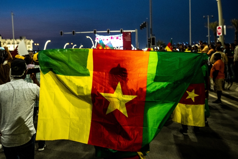 A supporter of Cameroon holds the national flag