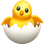 :hatching_chick: