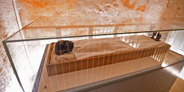 This picture taken on January 31, 2019, shows the linen-wrapped mummy of the 18th dynasty Pharaoh Tutankhamun, displayed in a climate-controlled glass case in his underground tomb (KV62) in Egypt's Valley of the Kings. The famous tomb reportedly underwent a nine-year conservation by a team of international specialists.