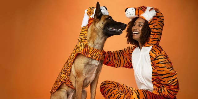 A tiger pelt makes a great Halloween costume for any owner who wants to bring out their pet's wild side.