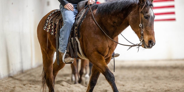 Therapy horse, Hank, carries a veteran during their riding lesson.