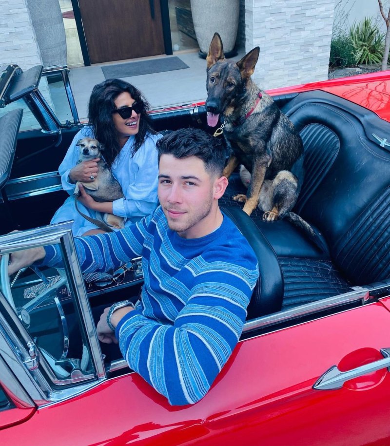 nick-jonas-and-priyanka-chopra-a-timeline-of-their-relationship car with dogs